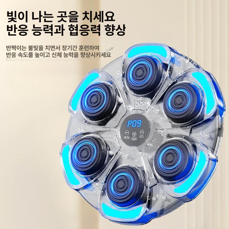 벽걸이 홈펀치 샌드백 권투 연습용 격투기 - 상세 이미지 3