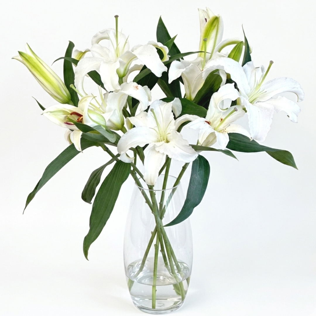 백합꽃 생화 쉐라 시베리아 솔직 후기 | 실사용자 리뷰 분석 - 대표 이미지