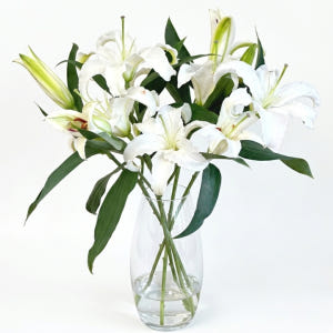 백합꽃 생화 쉐라 시베리아 솔직 후기 | 실사용자 리뷰 분석 - 상품 이미지 1