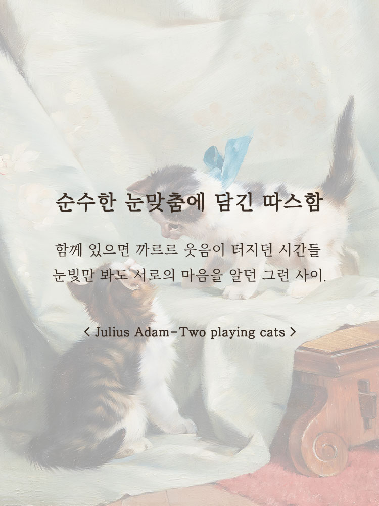 패브릭북커버 6공 다이어리 현금바인더 A6 마이프랜드 프릴밴드 1P - 상세 이미지 3
