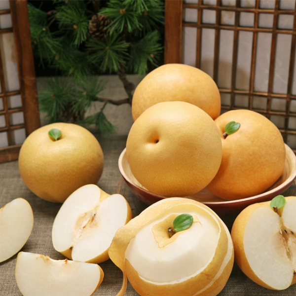 자연가득 나주 상주 프리미엄 가정용 신고배 3kg 5kg - 상세 이미지 4