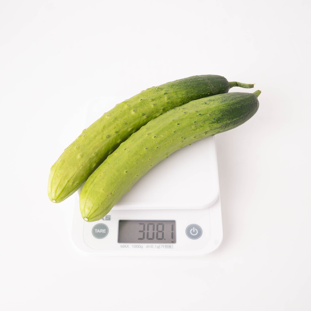 김채소 산지직송 국내산 백다다기 백 오이 상, 450g, 1개 - 상세 이미지 3