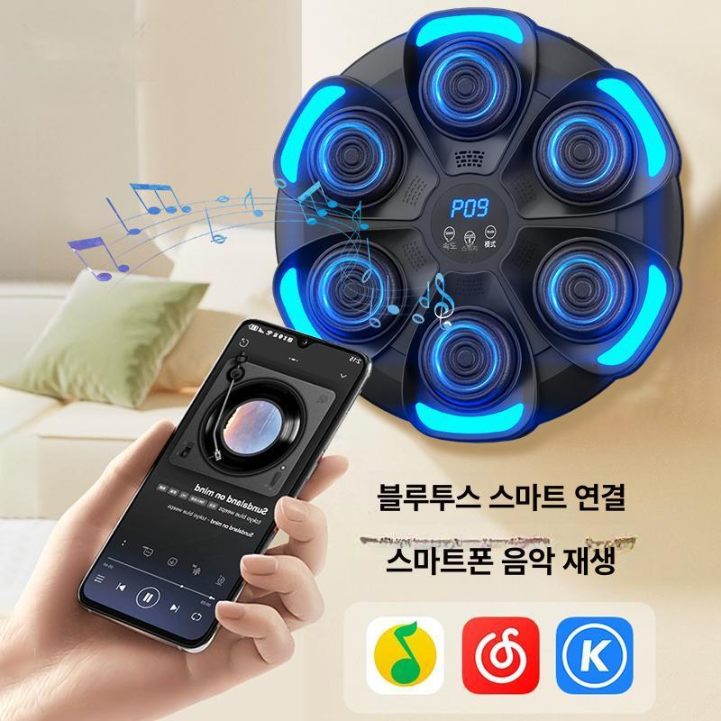 벽걸이 홈펀치 샌드백 권투 연습용 격투기 - 상세 이미지 2