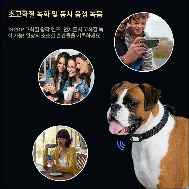 강아지 바디 캠 걸이 미니 동물 카메라 목 하네스 녹화 블랙박스 액션캠 관찰 애견 미니캠 - 상세 이미지 5