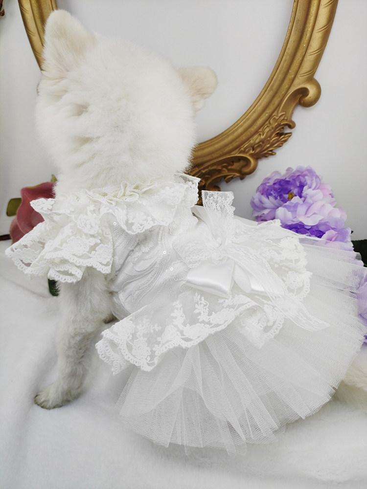 고양이 강아지 결혼신부옷 순백색 레이스 망사 쉬폰 풍성한 벨라인 튜튜 원피스 러블리 화이트 안감 있음 얇은 XS 가슴 27 길이 20 0.75kg - 상세 이미지 2