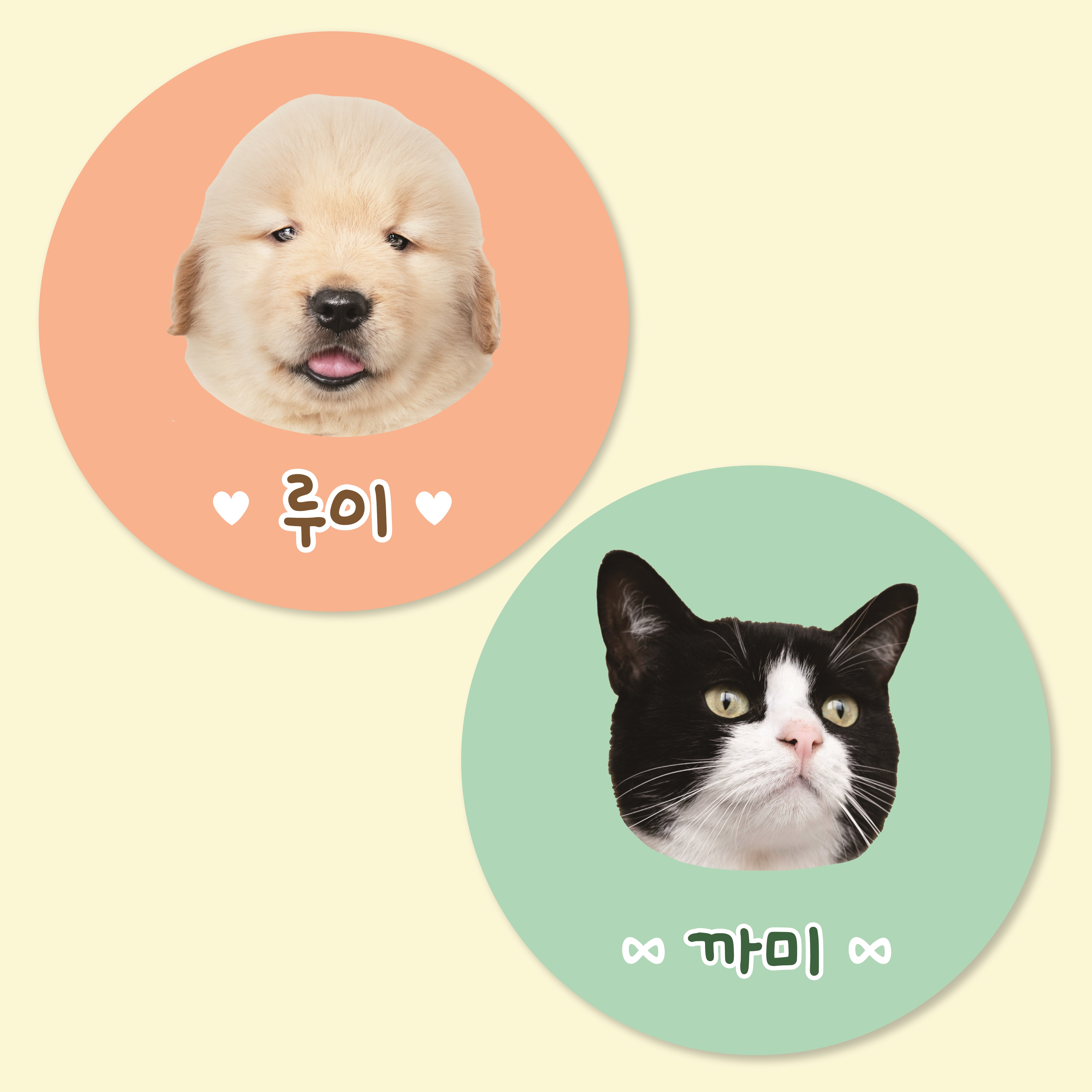 반려동물 강아지 고양이 얼굴 사진 포토스티커 주문제작 (원하는 배경색상) 2+1