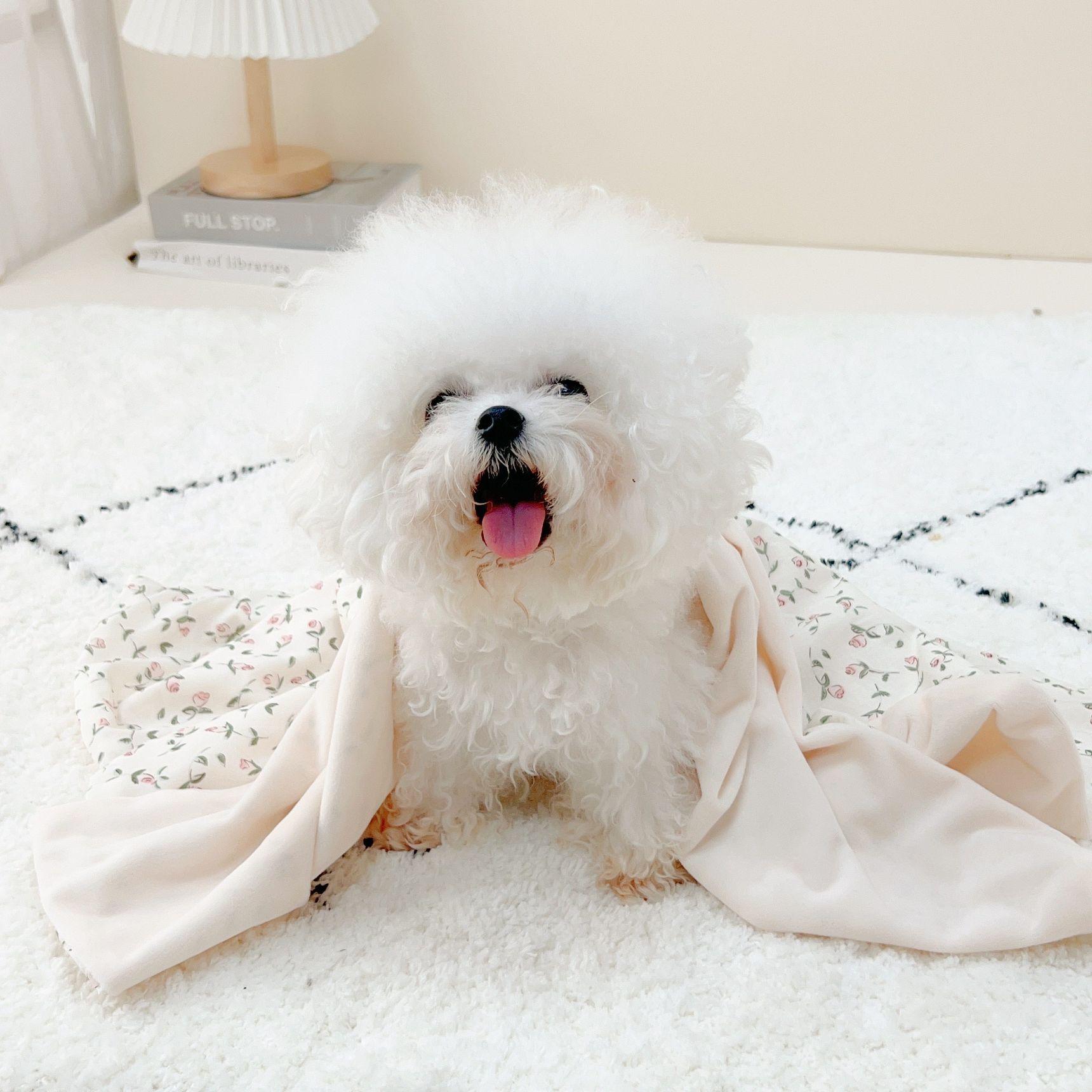 강아지포토존 강아지 요람 고양이 침대 반려동물 방석 레이스 면 캐노피 접이식 러블리 프릴 귀여운 플로럴 패턴 67x53 - 상품 이미지