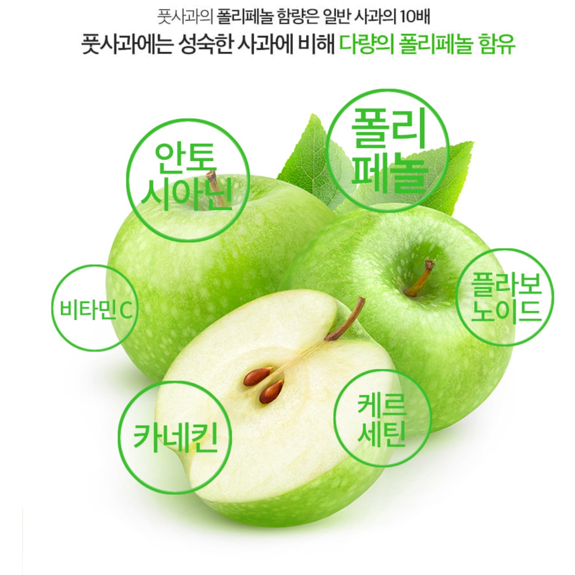 국내산 풋 사과 추출물 500g 분말 가루 효능 폴리페놀 파우더 먹는법 판매 파는곳 효과 - 상세 이미지 3