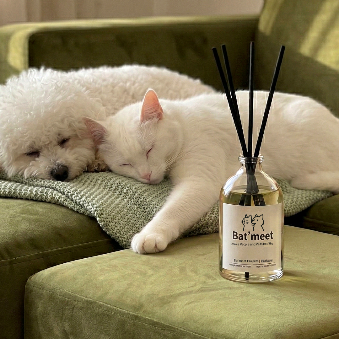 반려동물 디퓨저 강아지 방향제 고양이 실내 방향제 바트밋 후기 반려동물 실내용품