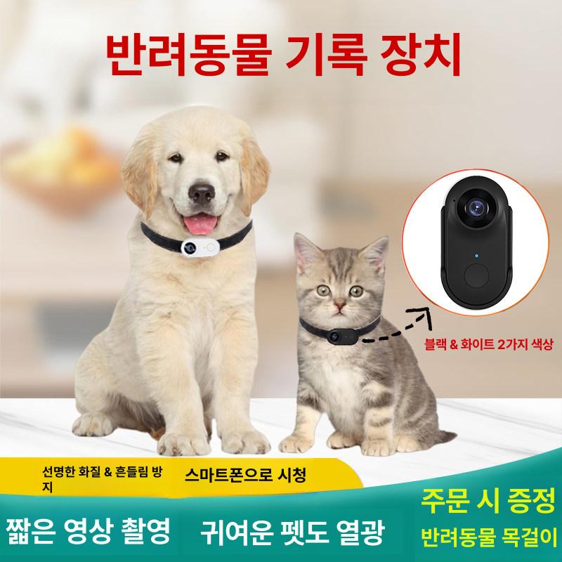 강아지 바디 캠 걸이 미니 동물 카메라 목 하네스 녹화 블랙박스 액션캠 관찰 애견 미니캠 - 상세 이미지 3