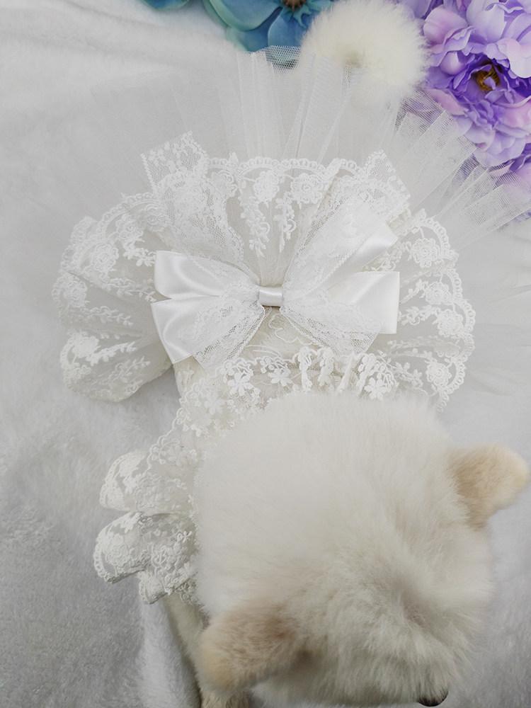 고양이 강아지 결혼신부옷 순백색 레이스 망사 쉬폰 풍성한 벨라인 튜튜 원피스 러블리 화이트 안감 있음 얇은 XS 가슴 27 길이 20 0.75kg - 상세 이미지 4