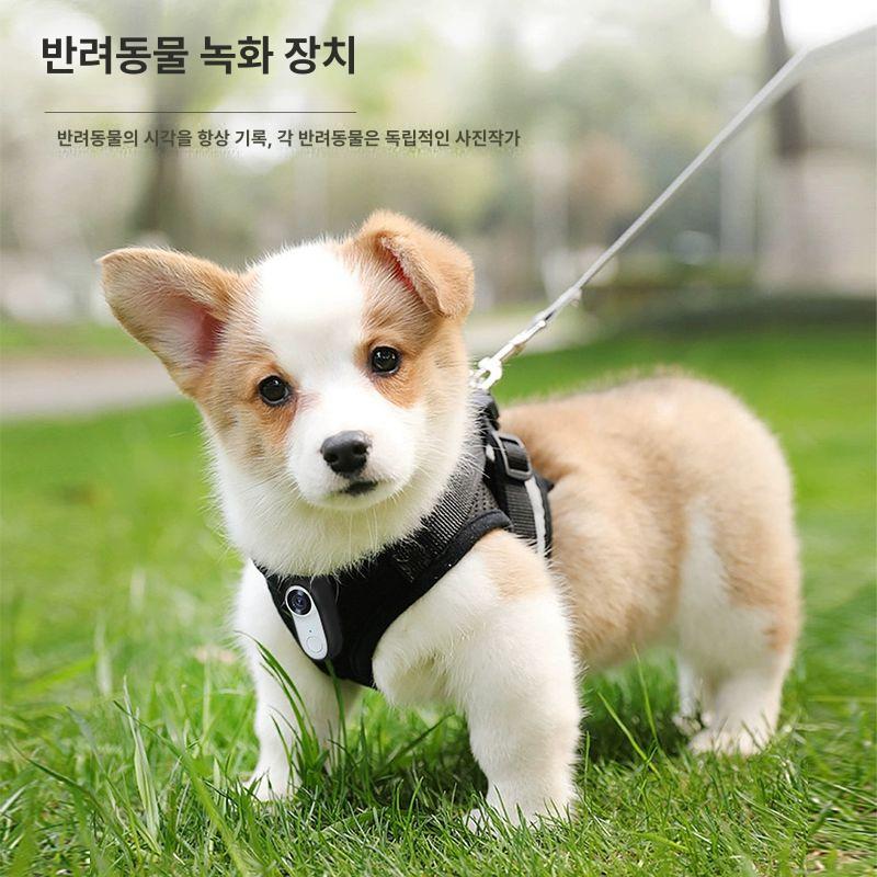 강아지 바디 캠 걸이 미니 동물 카메라 목 하네스 녹화 블랙박스 액션캠 관찰 애견 미니캠 - 상세 이미지 4