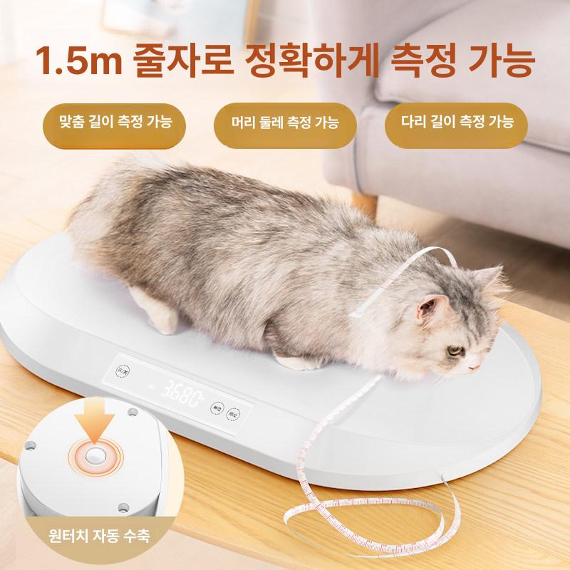 대형견 강아지 체중계 대형 최대 100kg 65X45cm 튼튼한 강화유리 상판 LED 배터리 중형 - 상세 이미지 2