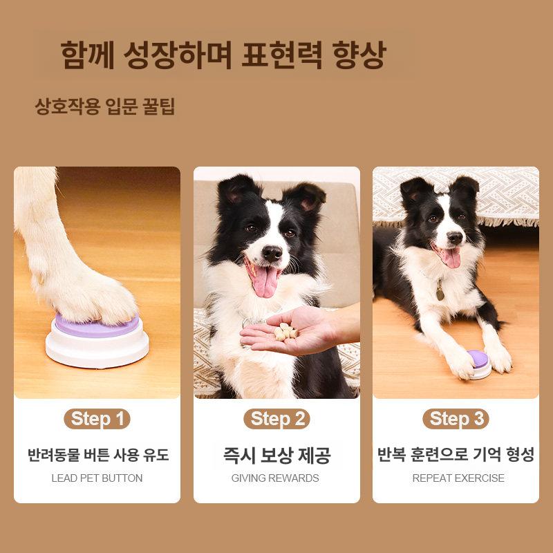 강아지 언어 번역기 소통 버튼 반려견 애견 삑삑이 장난감 실타래 인형 닭 - 상세 이미지 5