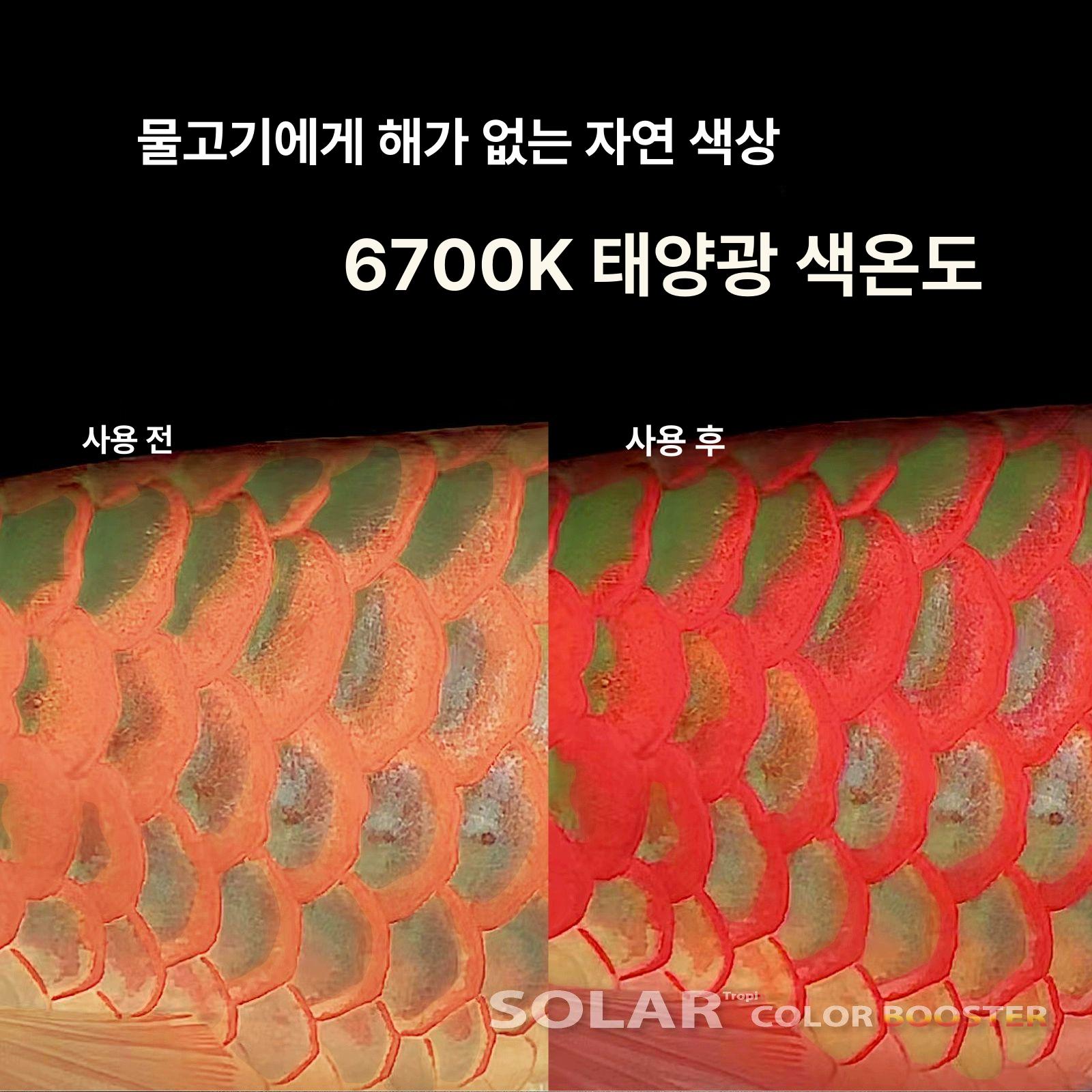 태닝등 스팟 어항 길이 물고기 해수 특수 금용 니오 피쉬 수조 조명 발색 - 상세 이미지 4