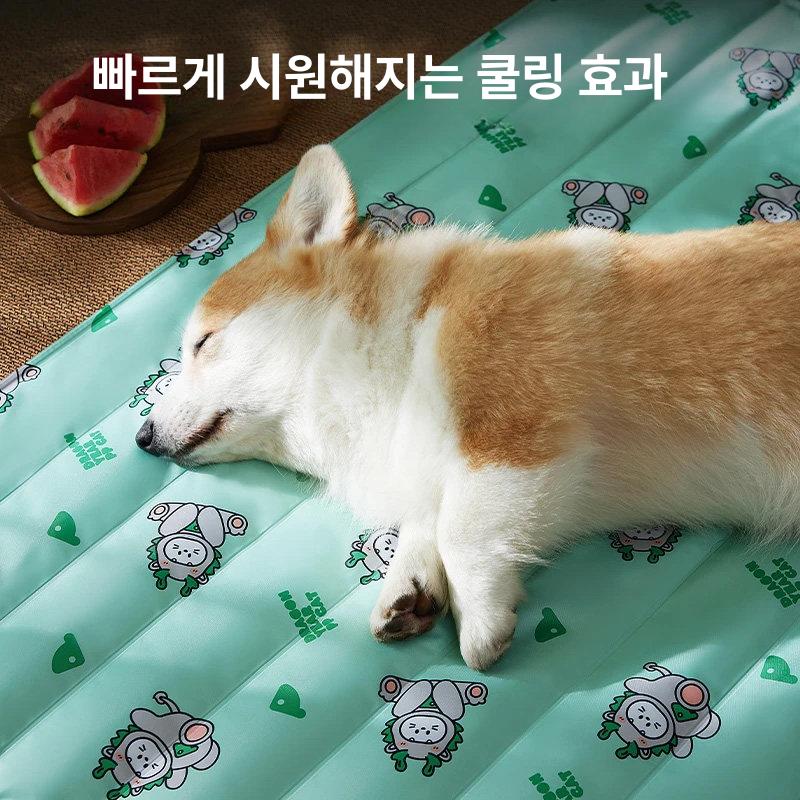 강아지쿨매트 반려견 여름 시원한 쿨링 냉감 젤 방석 바닥 매트 패드 중소형견 아이스 침대 타원형 무지개 그라데이션 S [30x40] 2.5kg 이하 - 상세 이미지 2