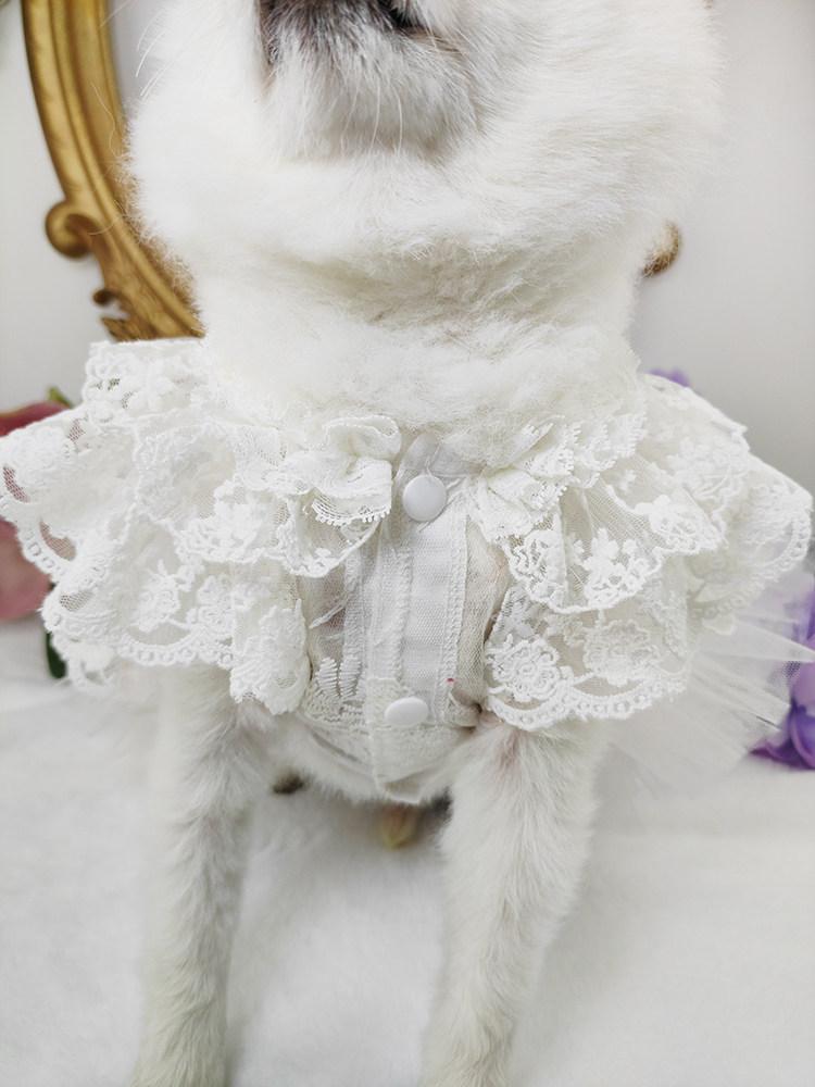 고양이 강아지 결혼신부옷 순백색 레이스 망사 쉬폰 풍성한 벨라인 튜튜 원피스 러블리 화이트 안감 있음 얇은 XS 가슴 27 길이 20 0.75kg - 상세 이미지 3