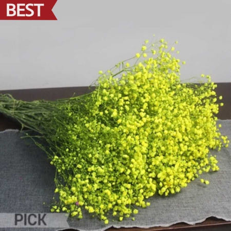 드라이플라워 안개꽃 노랑 말린꽃 생화 프리저브드 인테리어 소품 재료 픽앤코401