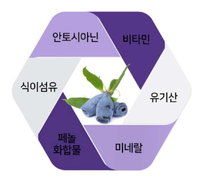 하스카프베리27 히스카프베리 하스카프리베리 열매 분말 카스카프베리 이미지 6