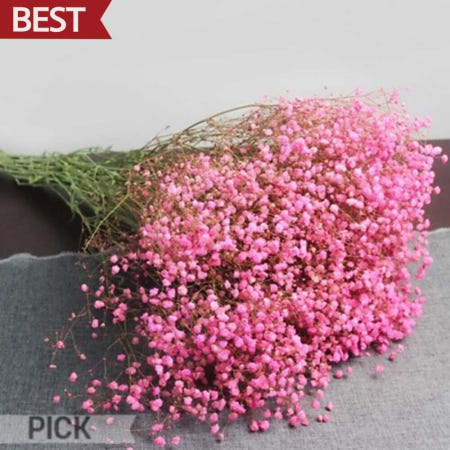 드라이플라워 안개꽃 연분홍 말린꽃 생화 프리저브드 공예용 소품 재료 픽앤코401