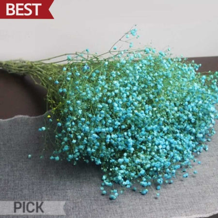 드라이플라워 안개꽃 하늘 말린꽃 생화 프리저브드 다꾸 공예 소품 재료 픽앤코401