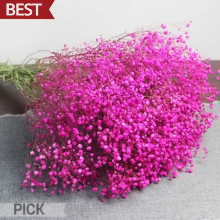 드라이플라워 안개꽃 진분홍 말린꽃 생화 프리저브드 장식용 공예 재료 픽앤코401