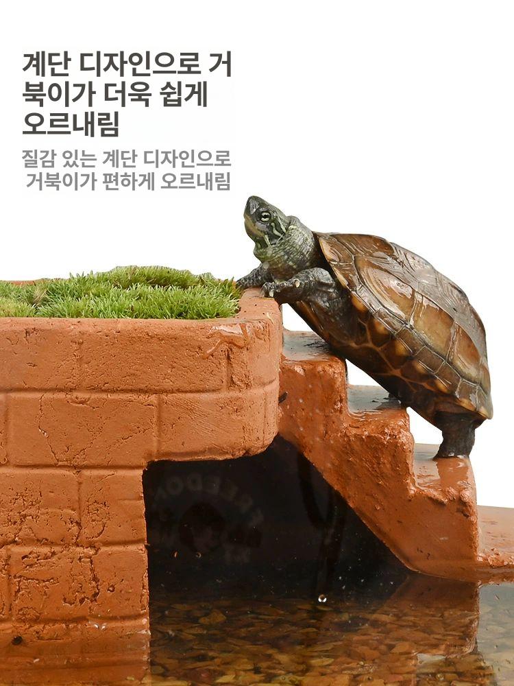 아크릴 거북이 어항 수족관 은신처 사육장 파충류 미니 [소형] + 화이트 헤더 스파이더 1박스 - 상세 이미지 3