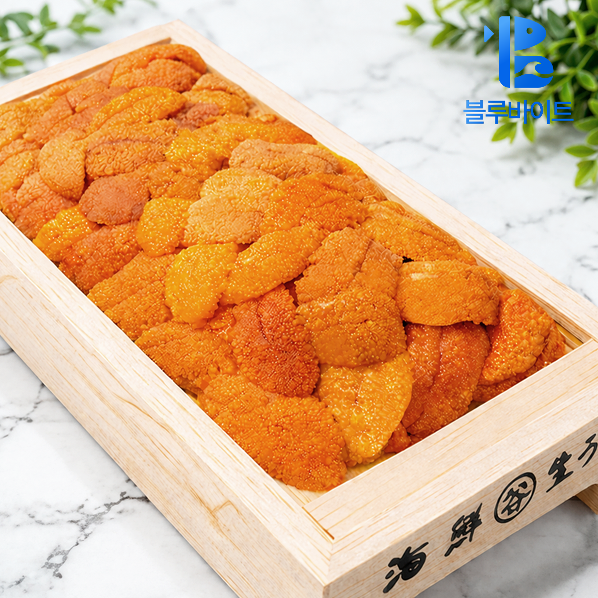 북해도 우니 최상급 성게알 100g 자연산 홋카이도 바훈우니 - 상품 이미지