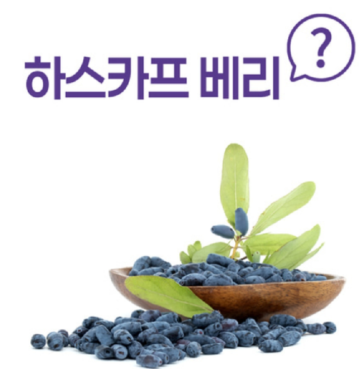 하스카프베리27 히스카프베리 하스카프리베리 열매 분말 카스카프베리 - 상세 이미지 3