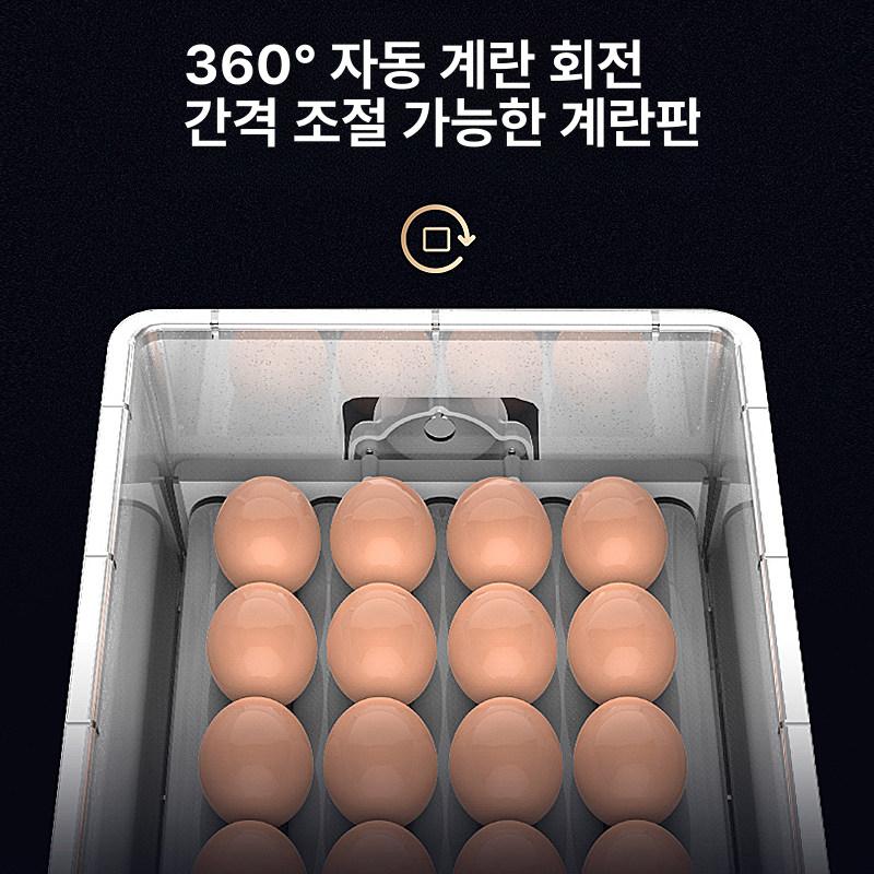 병아리부화기 메추라기 계란 알 24구 자동 닭 [온도 표시] 16알 단일 전원 - 상세 이미지 3