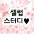 셀럽스터디 로고