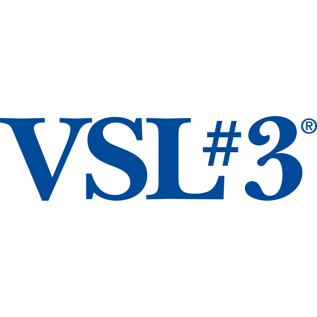 VSL3 스토어 로고
