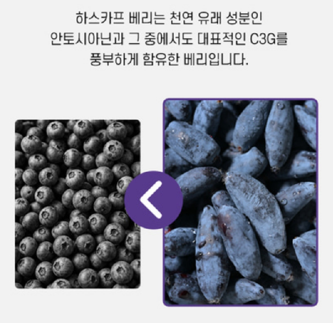 하스카프베리27 히스카프베리 하스카프리베리 열매 분말 카스카프베리 이미지 7