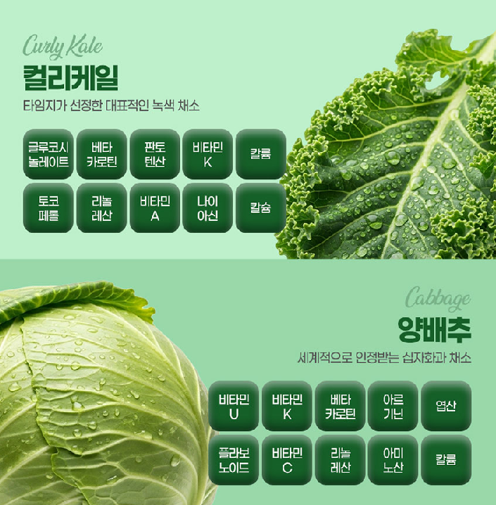 데일리 파이토케미컬 식이섬유 파우더 피토케미컬 마시는샐러드 - 상세 이미지 4