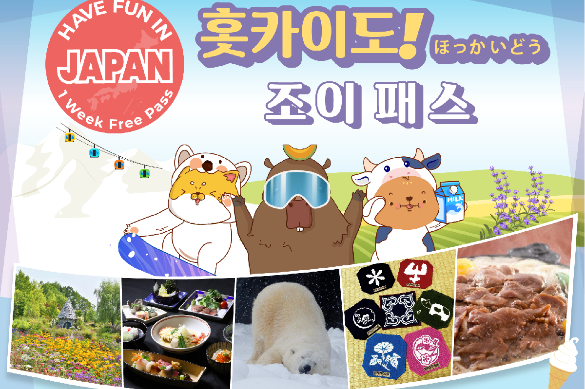 [바로사용가능] 홋카이도 조이패스 - 상품 이미지