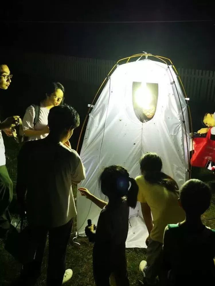 포충망 관찰 돔형 채집 트랩 곤충 야외 접이식 길이조절 해충유인 텐트 - 상품 이미지