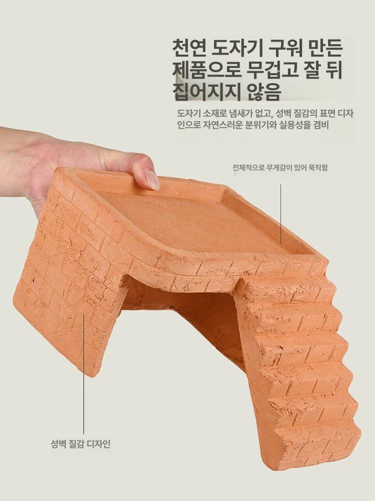 아크릴 거북이 어항 수족관 은신처 사육장 파충류 미니 [소형] + 화이트 헤더 스파이더 1박스 - 상세 이미지 4
