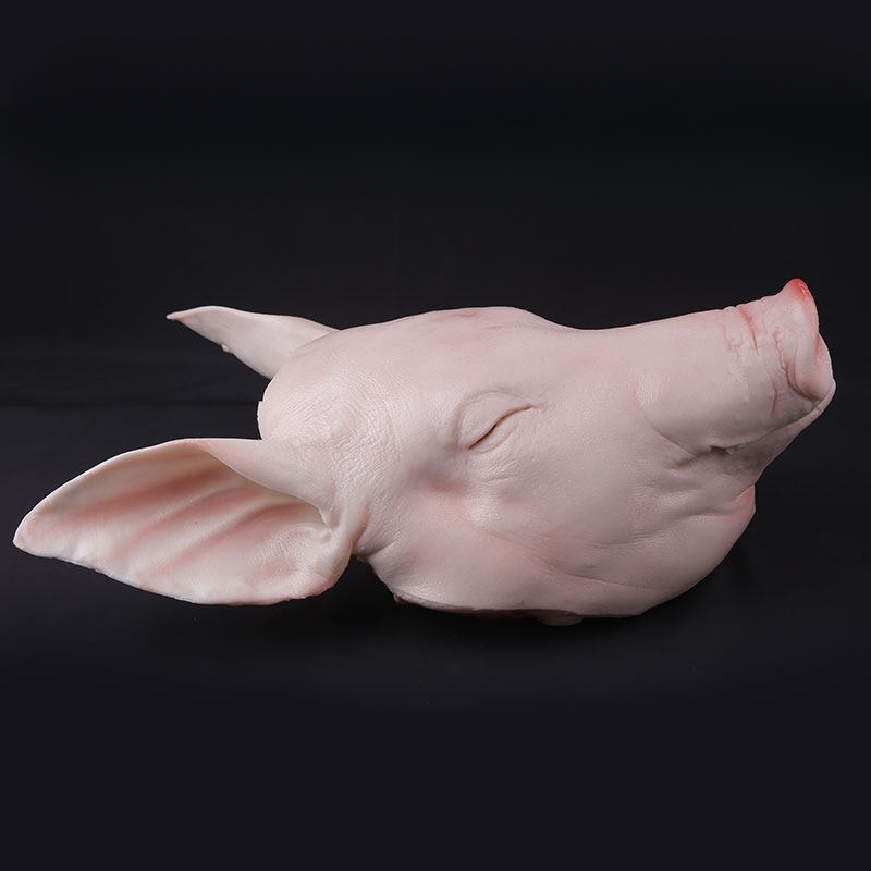 모조 돼지머리모형 제사 개업식 식당 정육점 인테리어 행사 디스플레이용 실물과 같은 실리콘 - 상세 이미지 4