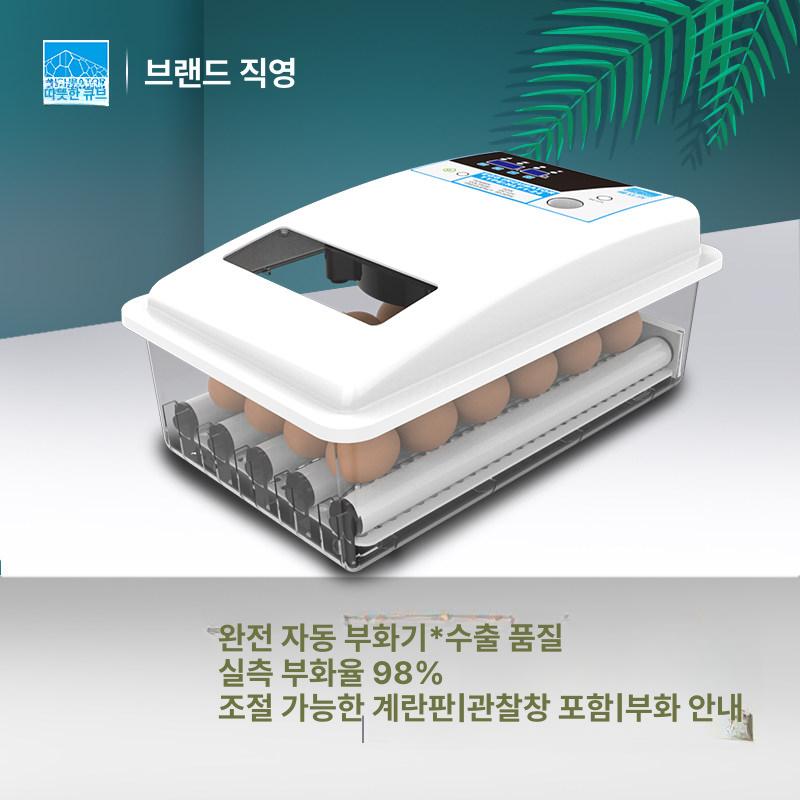 병아리부화기 메추라기 계란 알 24구 자동 닭 [온도 표시] 16알 단일 전원 - 상세 이미지 2