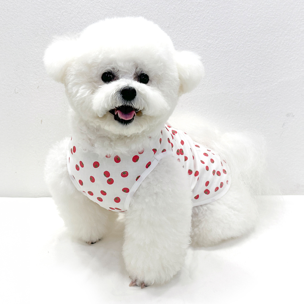 강아지 고양이 토마토 조끼 XL,2XL - 상세 이미지 3