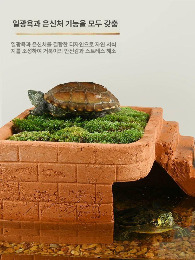 아크릴 거북이 어항 수족관 은신처 사육장 파충류 미니 [소형] + 화이트 헤더 스파이더 1박스 - 상세 이미지 2