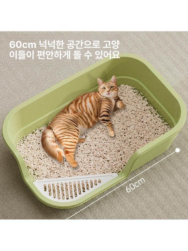 고양이 화장실 낮은 모래 새끼 실내 입구 개방형 소변 민트그린 49cm 대형 - 상세 이미지 2