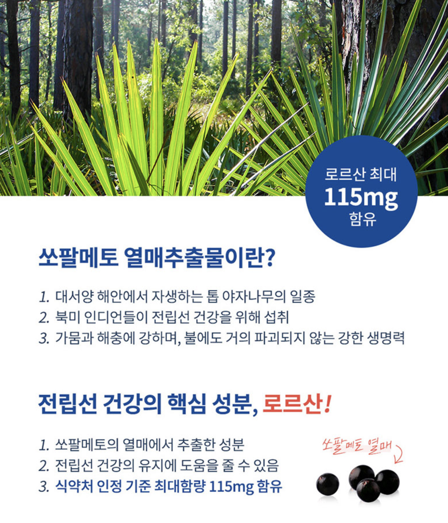 소팔매 미국산 쏘팔메토 아연 남성전립선 영양제 쇼팔메트 - 상세 이미지 4