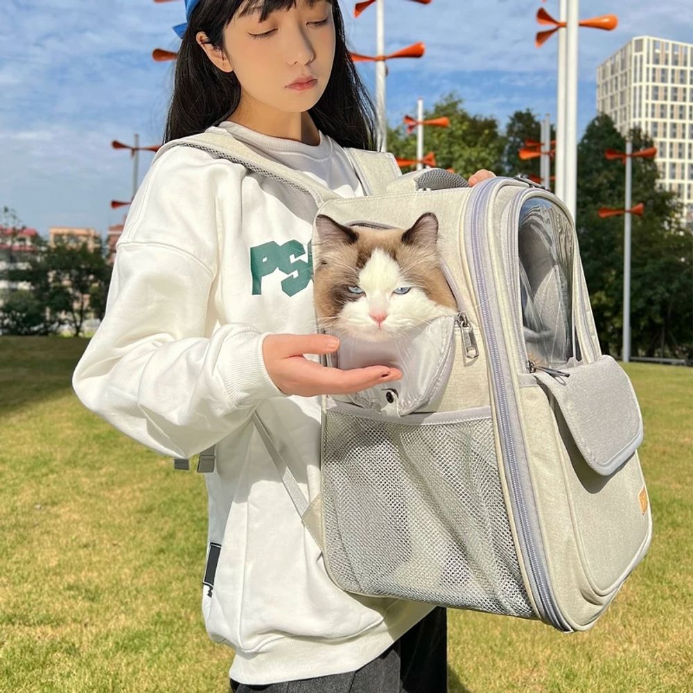 3면 통풍 고양이 가방 여름 강아지 이동가방 백팩 애견 여름 가방 - 상세 이미지 4