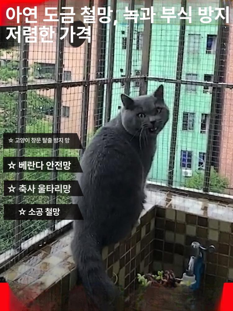 바닥네트망 철망 그리드 낙엽방지망 격리망 보호 매쉬망 50cm 1.3cm 0.8mm 비둘기 토끼 꽃 - 상세 이미지 3