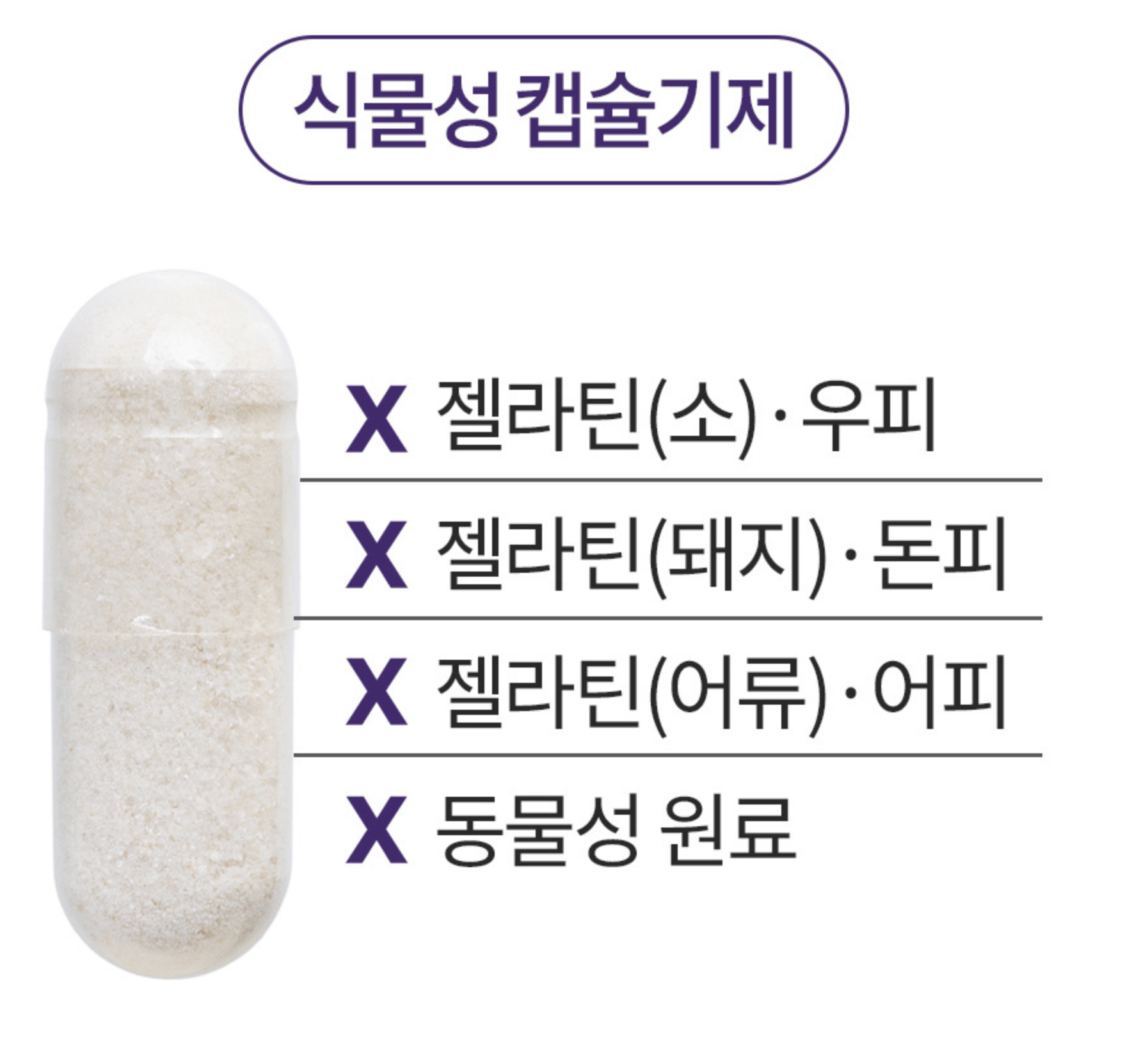 뇌 건강 영양제 두뇌 포스파티딜세린캡슐 포스타파티딜세린 기억력개선영양제 포스트딜세린 - 상세 이미지 2