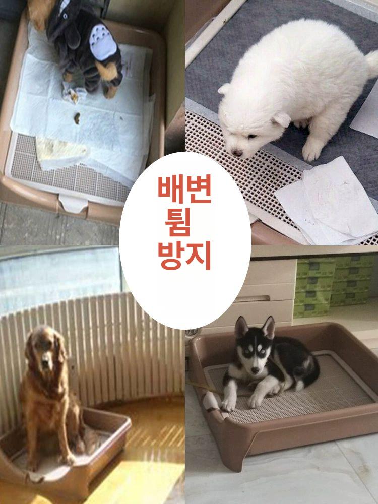 대형견배변판 특대형 강아지 가능 래브라도 애완견 베이지화이트 대형 (6-15kg이하강아지용) - 상세 이미지 5