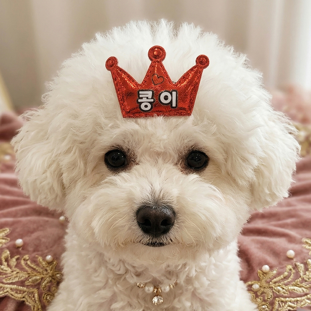 강아지 이름 머리핀 왕관 파츠 애견 헤어핀 - 상세 이미지 3