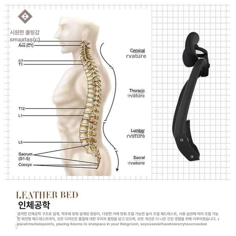 메쉬 의자등받이 허리 사무실 목 받침 등쿠션 확장 블랙 미세 패턴 스펀지 머리 받침 포함 - 상세 이미지 4