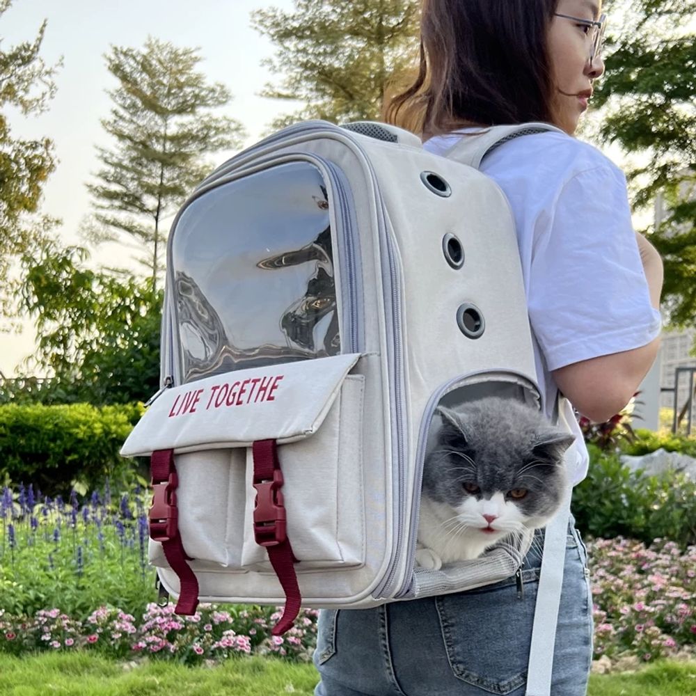 3면 통풍 고양이 가방 여름 강아지 이동가방 백팩 애견 여름 가방 - 상세 이미지 3